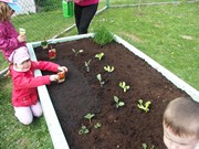 Zahradničíme ve školce